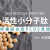 Protide 用户体验 心得分享 多囊卵巢綜合症
