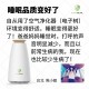 Ecoheal BM6+ Photosynthetic Ionization Air Purifier