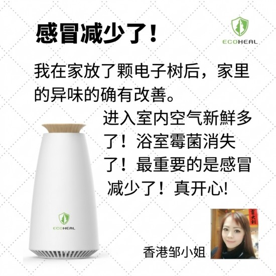 Ecoheal BM6+ Photosynthetic Ionization Air Purifier