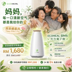 Best Air Purifier Malaysia - Photosynthetic E-Tree Ecoheal 【Ready Stock】