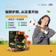 Tiger Milk Mushroom Cordyceps Plus / TMM Cordyceps Plus 【虎乳芝 冬虫夏草】