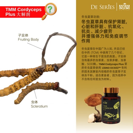 Tiger Milk Mushroom Cordyceps Plus / TMM Cordyceps Plus 【虎乳芝 冬虫夏草】