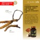 Tiger Milk Mushroom Cordyceps Plus / TMM Cordyceps Plus 【虎乳芝 冬虫夏草】