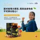 Tiger Milk Mushroom Cordyceps Plus / TMM Cordyceps Plus 【虎乳芝 冬虫夏草】