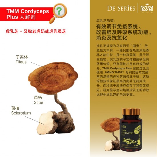 Tiger Milk Mushroom Cordyceps Plus / TMM Cordyceps Plus 【虎乳芝 冬虫夏草】