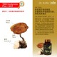 Tiger Milk Mushroom Cordyceps Plus / TMM Cordyceps Plus 【虎乳芝 冬虫夏草】